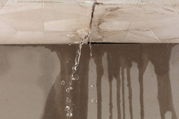 Professional Water Damage Repair technician working in Anderson Island, WA